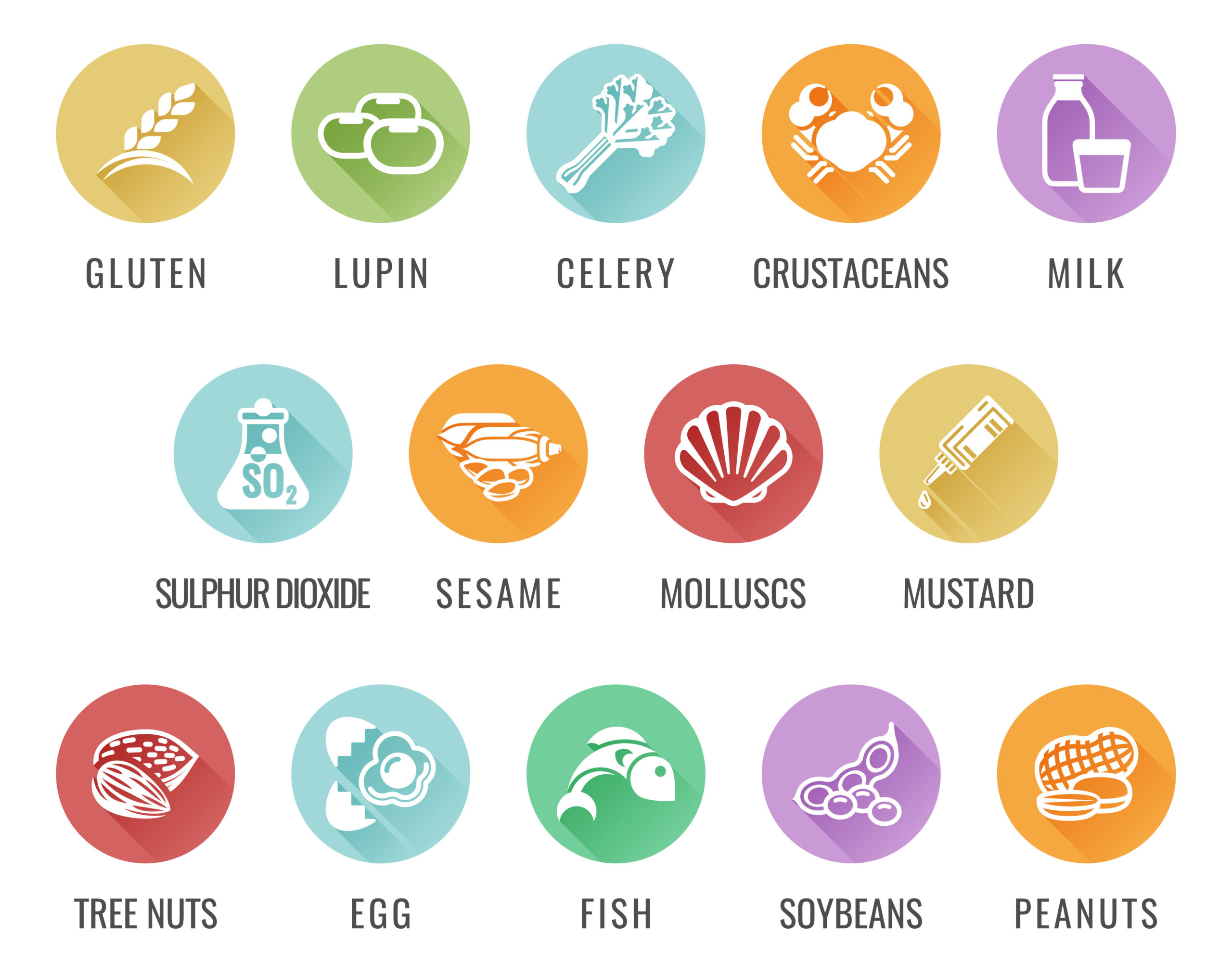 Your Guide To The Common Food Allergens Your Responsibility s